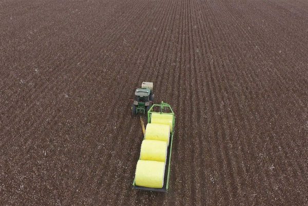 Overhead view of Bale Runner fully loaded with Cotton Bales transporting