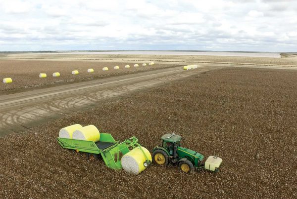 Bale Runner in field loading cotton bale