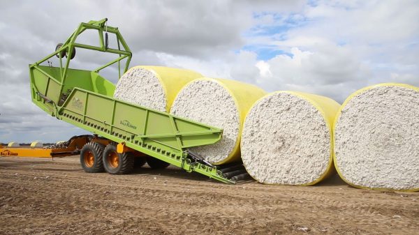 Bale Runner unloading Cotton Bales