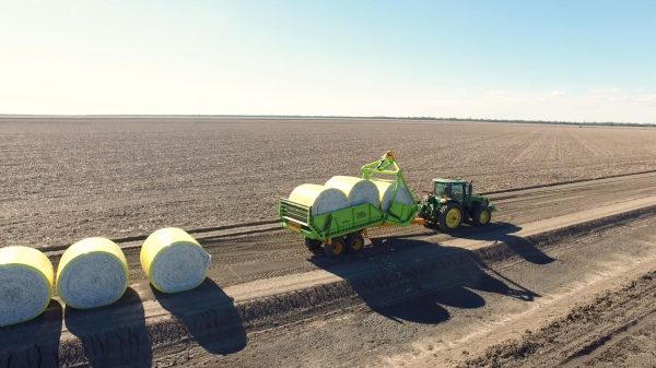 3-Bale Bale Runner full load of cotton bales